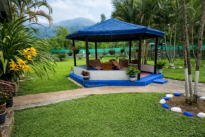 Mejorar Nitidez Y Re 300x200